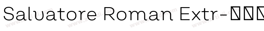 Salvatore Roman Extr字体转换
